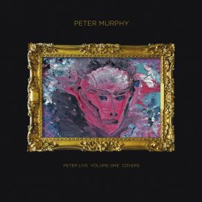 Download track Purple Rain Peter Murphy