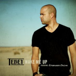 Download track Wake Me Up Tebey