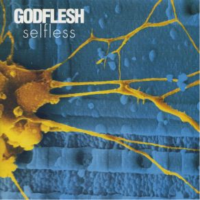 Download track Body Dome Light Godflesh