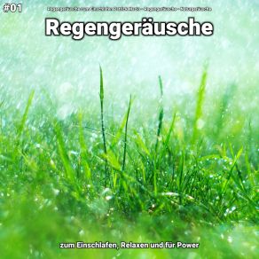 Download track Regengeräusche, Pt. 3 Naturgeräusche