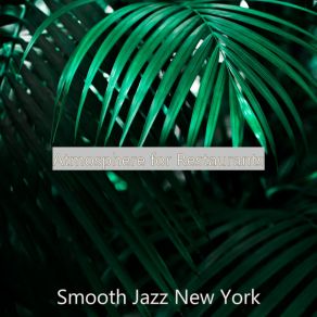 Download track Mood For Summer Days - Acoustic Bass Solo New York