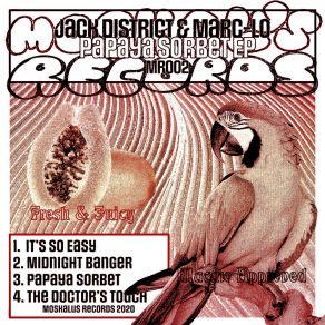 Download track The Doctor's Touch Marc-Lo