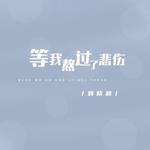 Download track 等我熬过了伤悲 (Dj默涵版 伴奏) 刘晓超