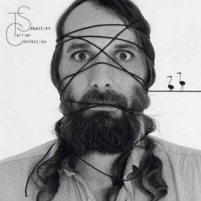 Download track Adieu Mes Amours Sébastien Tellier