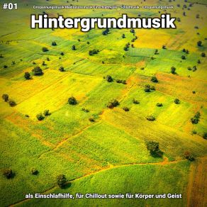 Download track Hintergrundmusik Pt. 32 Entspannungsmusik