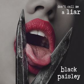 Download track Don't Call Me A Liar Black Paisley