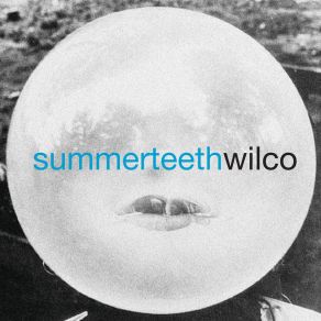 Download track Seconds Of Silence Wilco