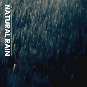 Download track Lockdown Rain, Pt. 10 Rain Sounds Nature Collection