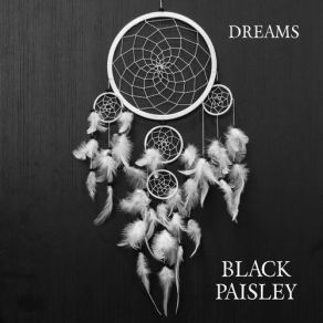 Download track Dreams Black Paisley