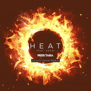 Download track Heat (Remix) AshniDucka Shan