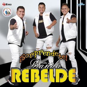 Download track Vive Su Vida Su Banda Rebelde