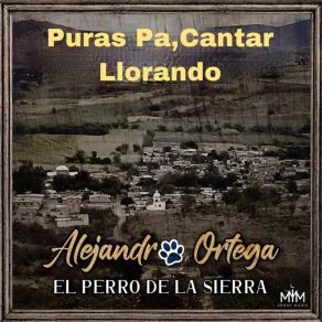 Download track Cantar Llorando Alejandro Ortega El Perro De La Sierra