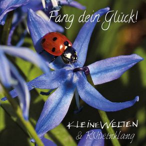 Download track Du Bleibst Stehn R (H) Einklang