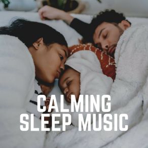 Download track Developing Sleep Melodies, Pt. 73 Sleep Ambience