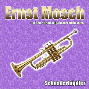 Download track Schnaderhüpfler Seine Original Egerländer Musikanten