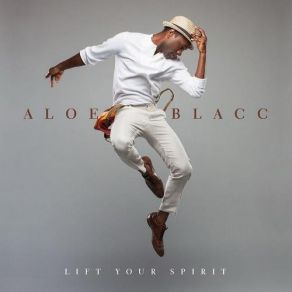 Download track Wanna Be With You Aloe Blacc