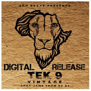 Download track Bring You Down (VIP) Tek 9The Vip