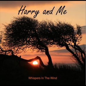 Download track Whispers In The Wind Harry