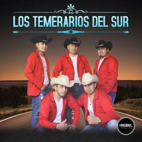 Download track La Puntada Del Sur