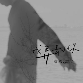 Download track 我弄丢了你 JIA L