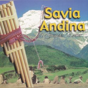 Download track Potosino Soy (Huayño) Savia Andina