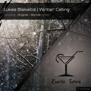 Download track Winter Calling (Original Mix) Lukas Blekaitis