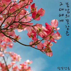 Download track Like A Spring Flower Moonlight Melody