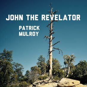 Download track John The Revelator Patrick Mulroy