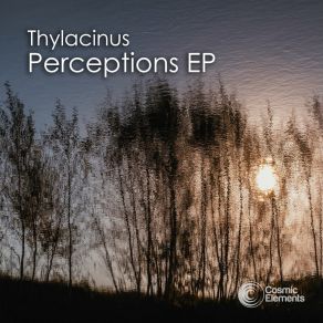 Download track Open Your Mind And Realise (Original Mix) Thylacinus