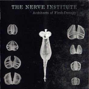 Download track Bande Magnetique... At The Ossuary The Nerve Institute