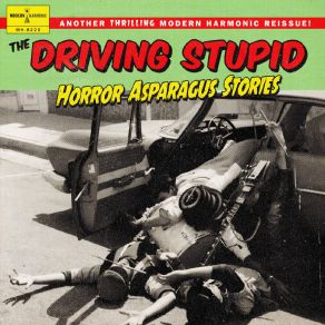 Download track Happytime Springface And Flowers The Driving Stupid