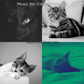 Download track Chilled (Relaxing Cats) Music For Cats Ambience