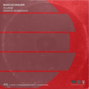 Download track Plunger (Remix) Marcus KnauerSeqwenzer