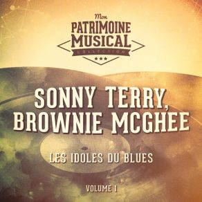 Download track If You Lose Your Money Brownie McGhee