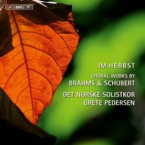 Download track 19. Brahms: Warum Ist Das Licht Gegeben Dem Muhseligen Op. 74 No. 1 - Langsam Und Sanft Det Norske Solistkor