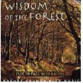 Download track Wisdom Of The Forest (Part 2)  Medwyn Goodall