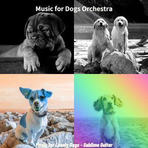 Download track Serene Training Dogs Music For Dogs Orchestra