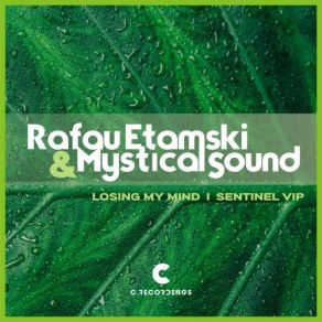 Download track Sentinel VIP Mystical Sound, Rafau Etamski