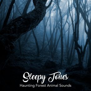 Download track Haunting Forest Animal Sounds, Pt. 15 Jason Rivers