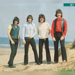 Download track Till The Sun Goes Down The Tremeloes