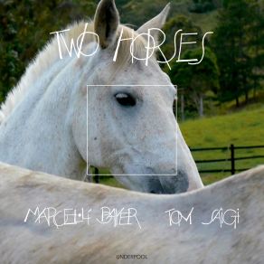 Download track El Caballo Marcel·lí Bayer, Toni Saigi