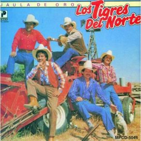 Download track Albacar China Los Tigres Del Norte