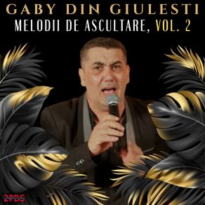 Download track Vai Vai Vai Dusmanilor Gaby Din Giulești