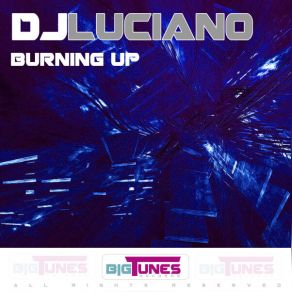 Download track Peices Of Me Dj Luciano