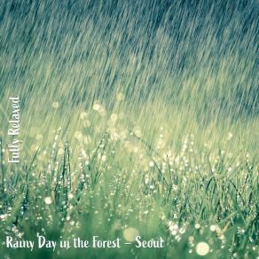 Download track Rainy Day In The Forest - Seoul, Pt. 8 Steve Brassel