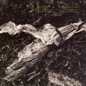 Download track Premonition (Giant Empty Iron Vessel) Holger Czukay, David Sylvian