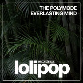 Download track Everlasting Mind (Original Mix) The Polymode