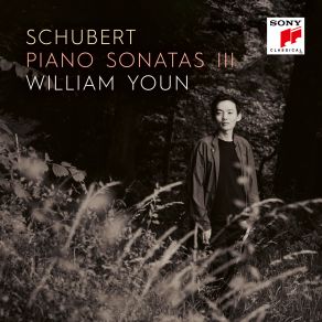 Download track Piano Sonata No. 16 In A Minor, D. 845- I. Moderato William Youn