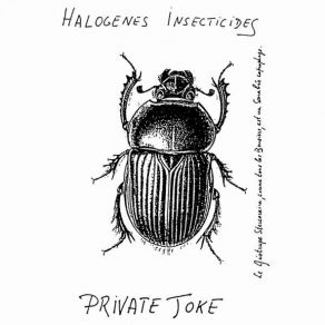 Download track Le Roi Pêcheur Halogènes Insecticides