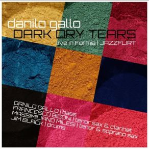 Download track Rubble Dust (Live) Danilo Gallo Dark Dry Tears